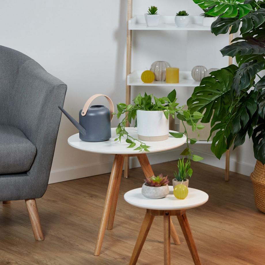 B2X  Gießkanne für Topfpflanzen 1,7 l 2er-Set 