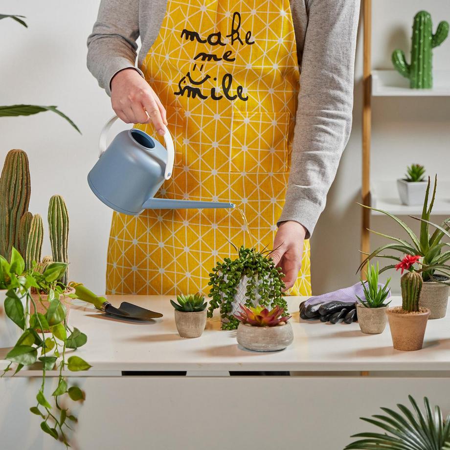 B2X  Gießkanne für Topfpflanzen 1,7 l 2er-Set 