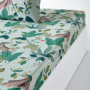 Drap housse percale de coton