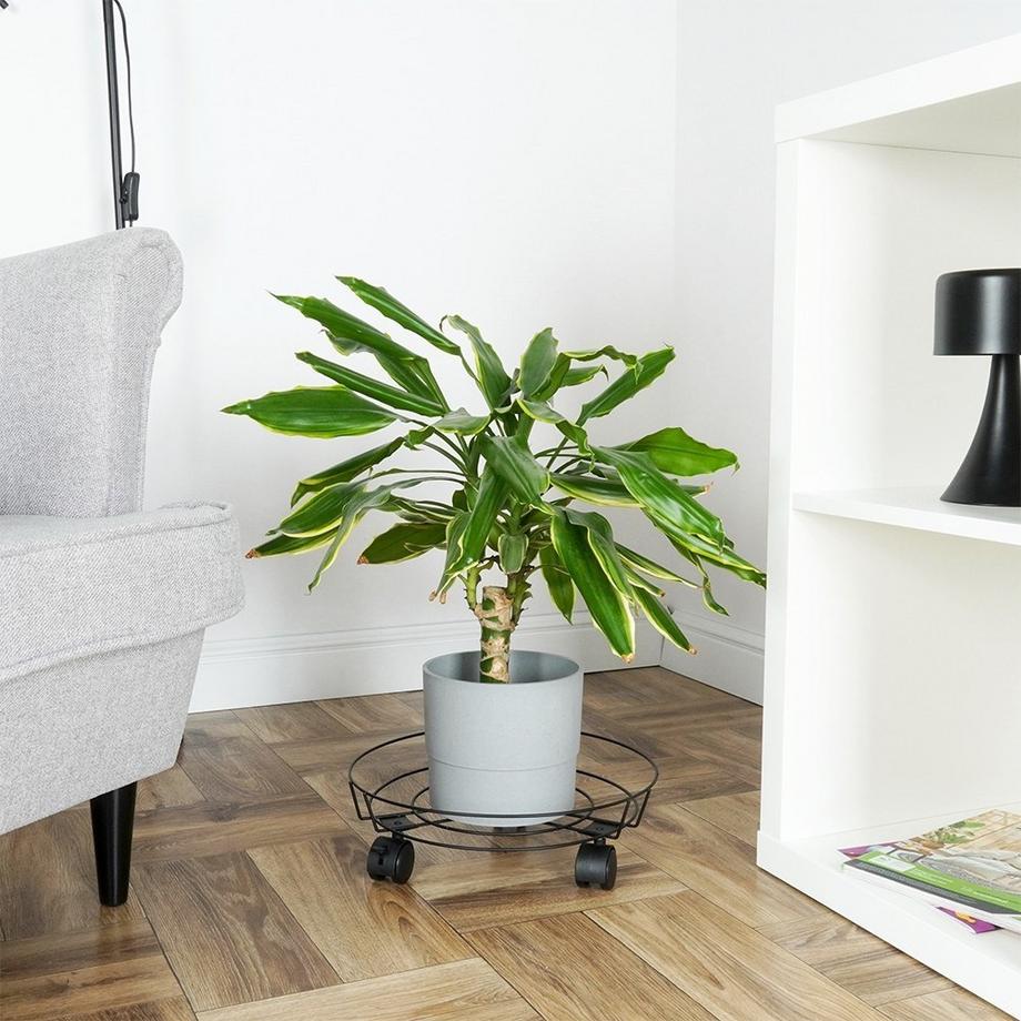 ProGarden  Pot de fleurs pratique et robuste sur roulettes avec blocage des roulettes 