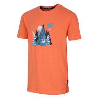 Dare 2B  Tshirt TRAILBLAZER Enfant 