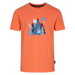 Dare 2B  Tshirt TRAILBLAZER Enfant 