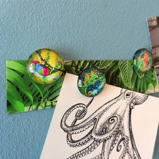 trendform STORY BOX CHAMELEON Magnete & Magnetleiste  