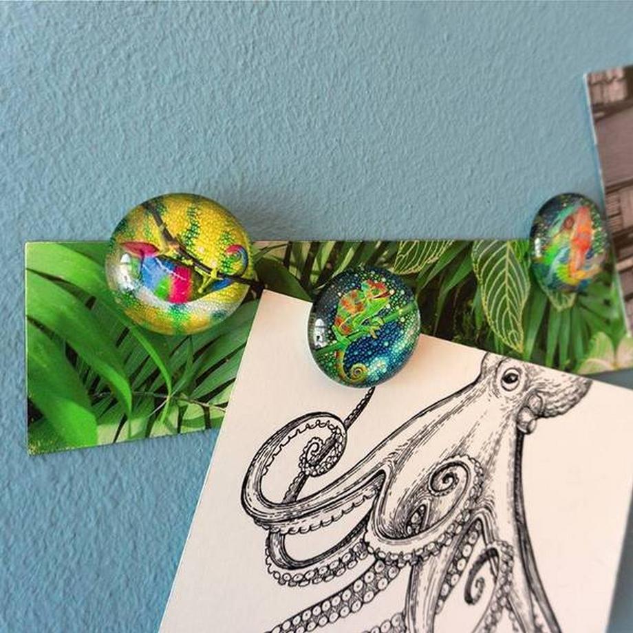 trendform STORY BOX CHAMELEON Aimants & barre magnétique  