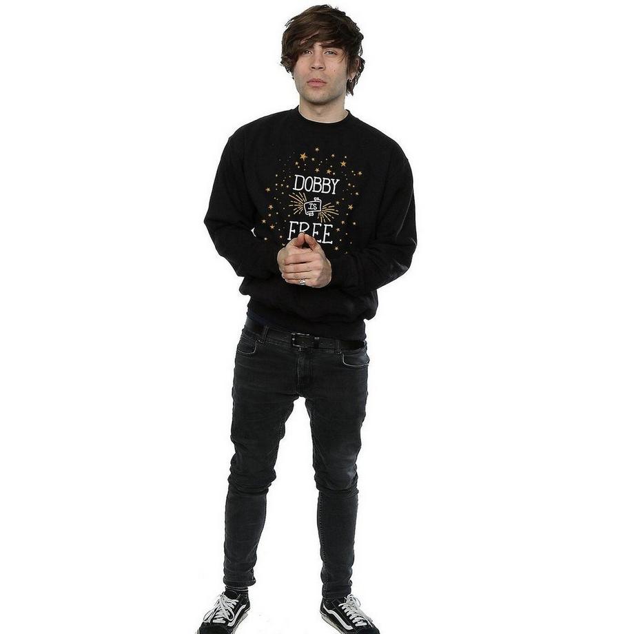 Harry Potter Dobby Is Free Sweatshirt  