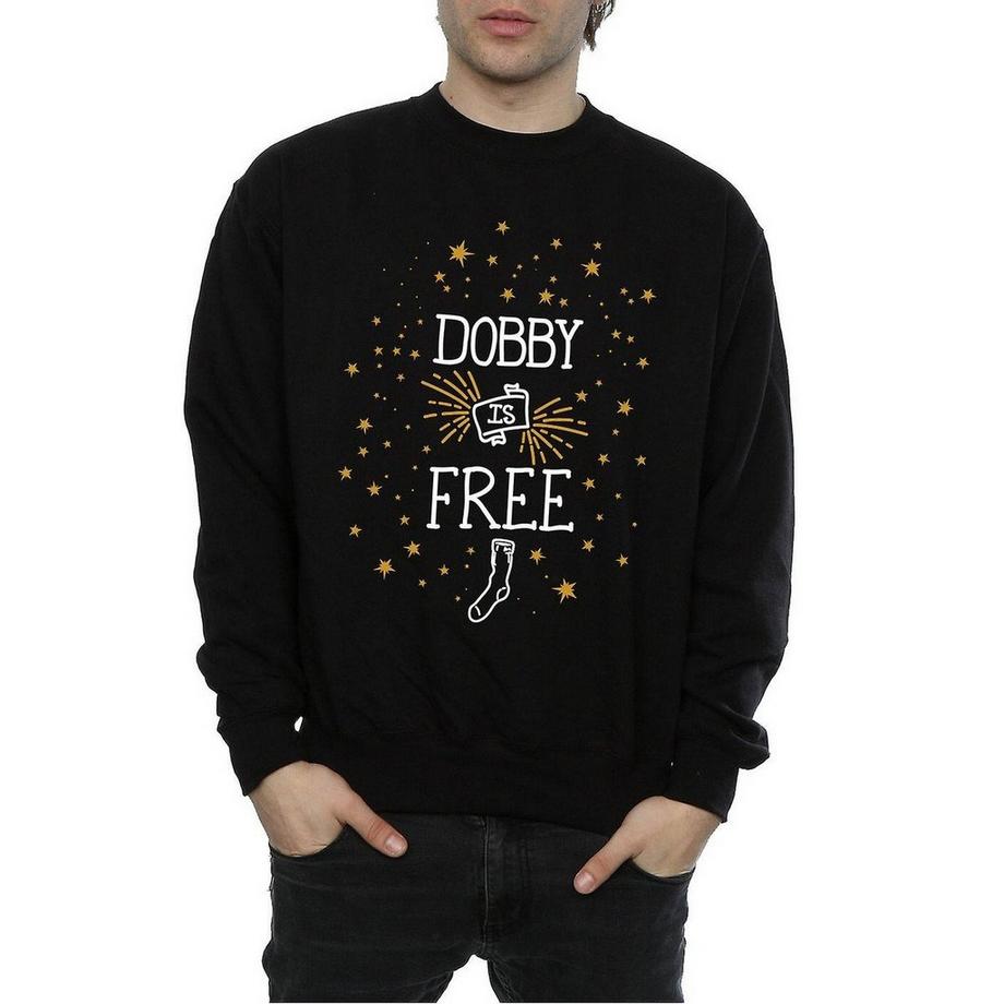Harry Potter Dobby Is Free Sweatshirt  