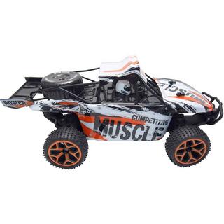 Amewi  Buggy à sable électrique RTR 1:18 