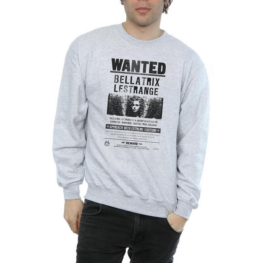 Harry Potter Sweatshirt Wanted  