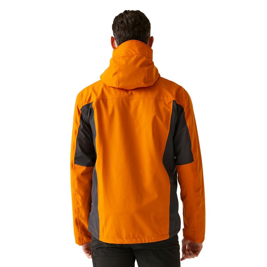Regatta Veste imperméable Birchdale II  