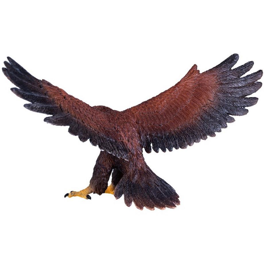 Mojo  Wildlife Steinadler 