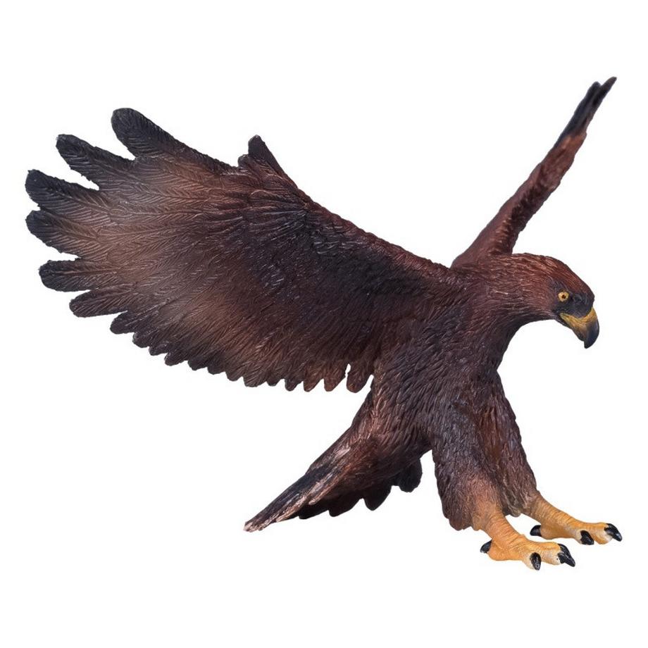 Mojo  Wildlife Steinadler 