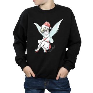 Disney  Fairy Sweatshirt 