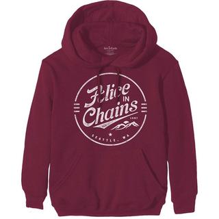 Alice In Chains Logo Pullover Hoodie  