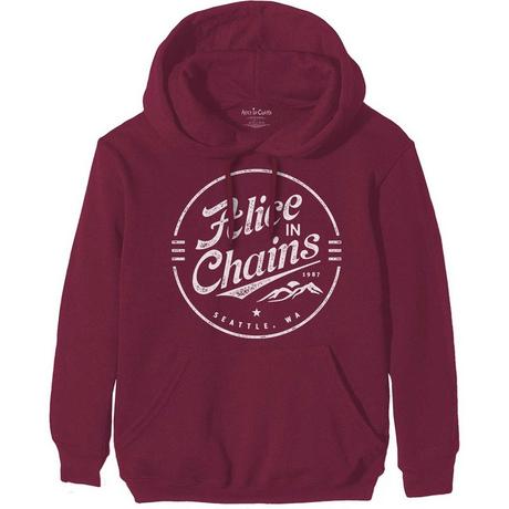 Alice In Chains Logo Pullover Hoodie  