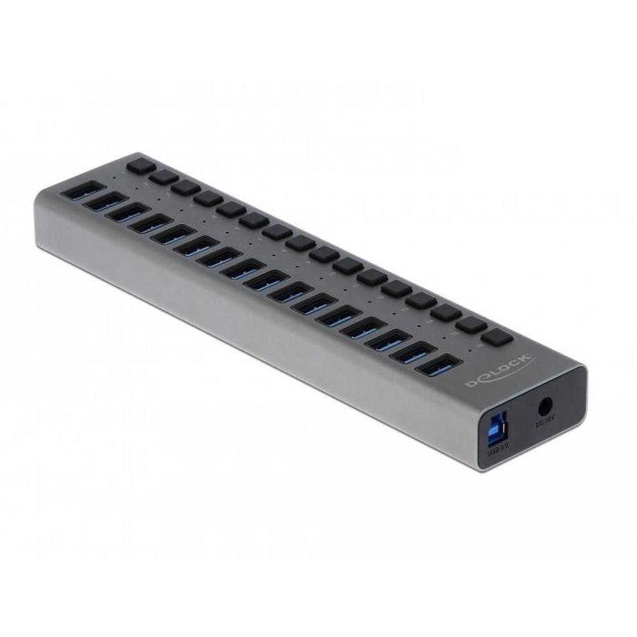 DeLock  Hub USB 5 Gbps esterno con 16 porte + Switch 