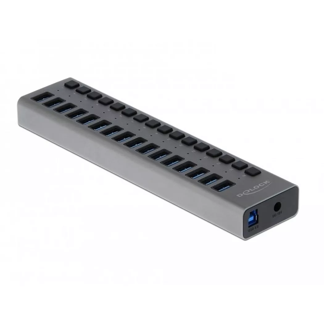 Delock - Hub - 16 x SuperSpeed USB 3.0 - Desktop