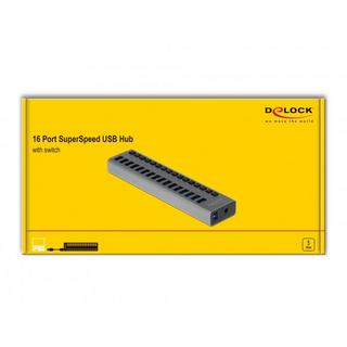 DeLock  63739 Schnittstellen-Hub USB 2.0 Type-B 5000 Mbit/s Grau 