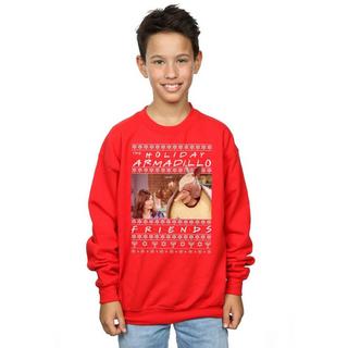 Friends  Holiday Armadillo Sweatshirt 