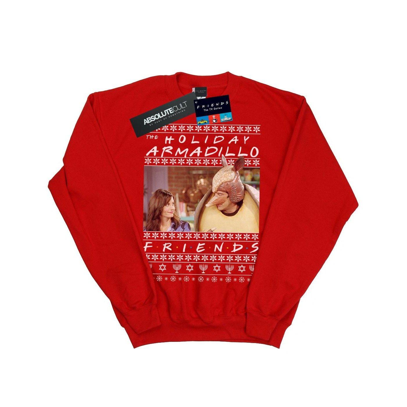 Friends  Holiday Armadillo Sweatshirt 