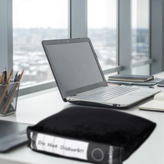 B2X Cuscino da ufficio con design d'archivio  