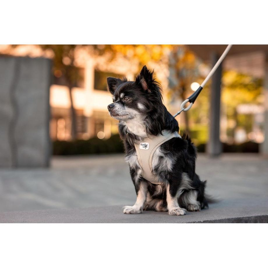 curli  Vest Harnais pour chien Clasp Air-Mesh 