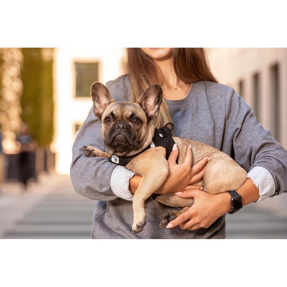 curli  Vest Harnais pour chien Clasp Air-Mesh 