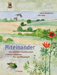 Miteinander Brandstetter, Johann; Zippel, Elke Couverture rigide 