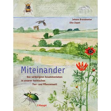 Miteinander