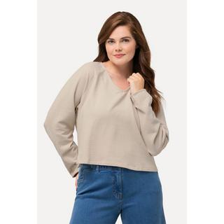 Ulla Popken  Sweatshirt, kurz, V-Ausschnitt, Langarm, Biobaumwolle 