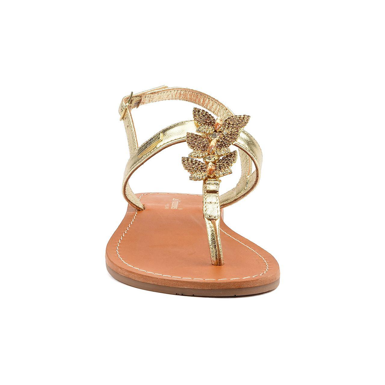 Les Tropeziennes  OFEA 