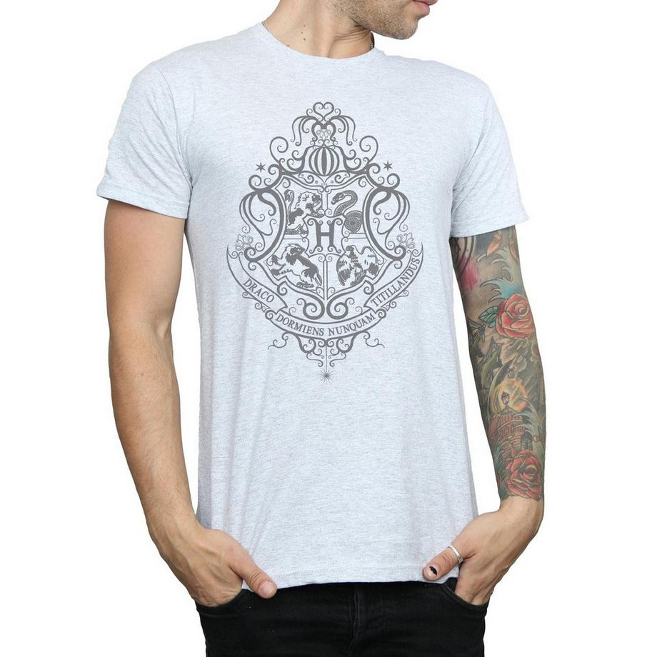 HARRY-POTTER Hogwarts Draco Dormiens T-Shirt  
