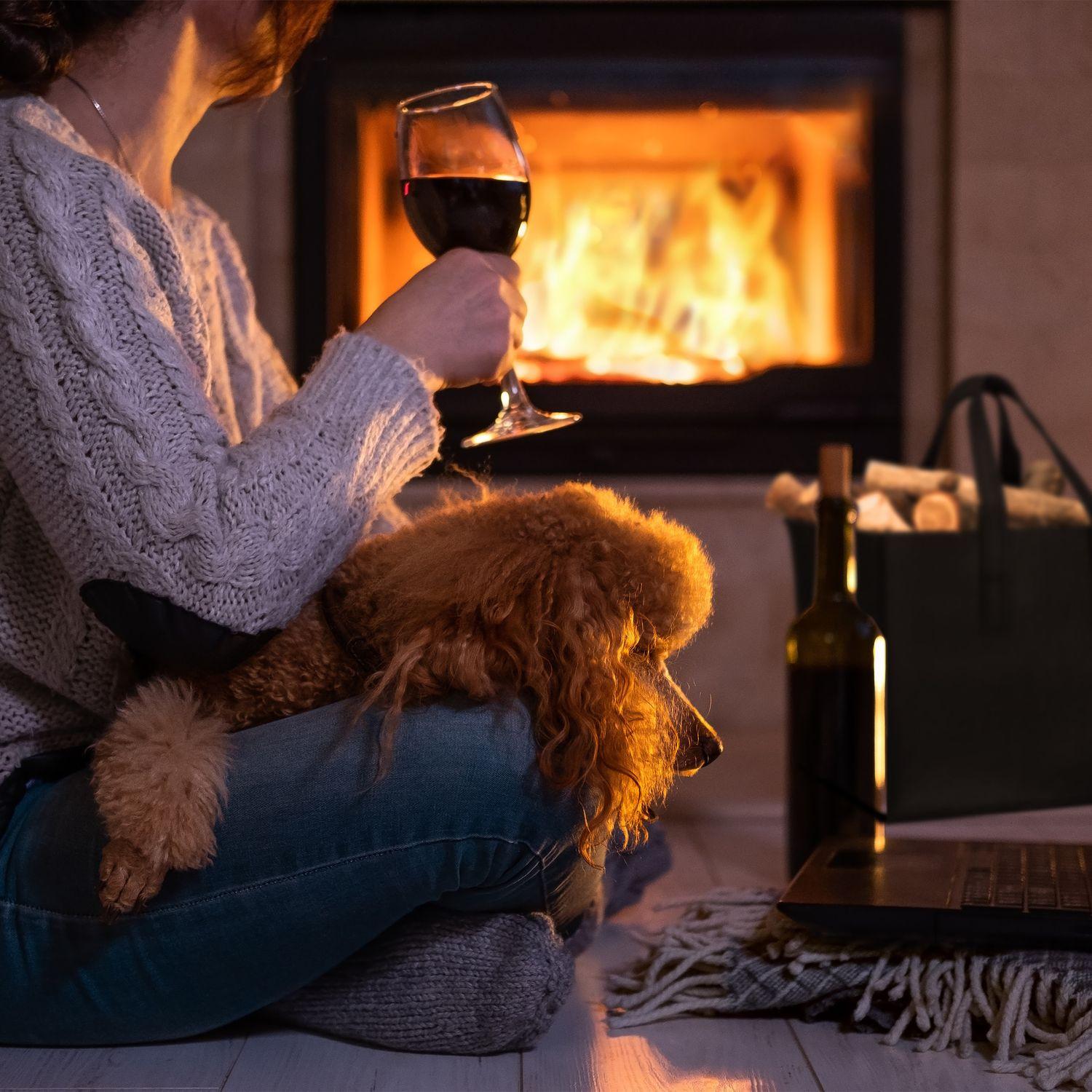 B2X Filzkorb mit Tragegriff  