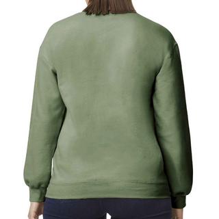 Gildan  Softstyle Sweatshirt Mittelschwer 