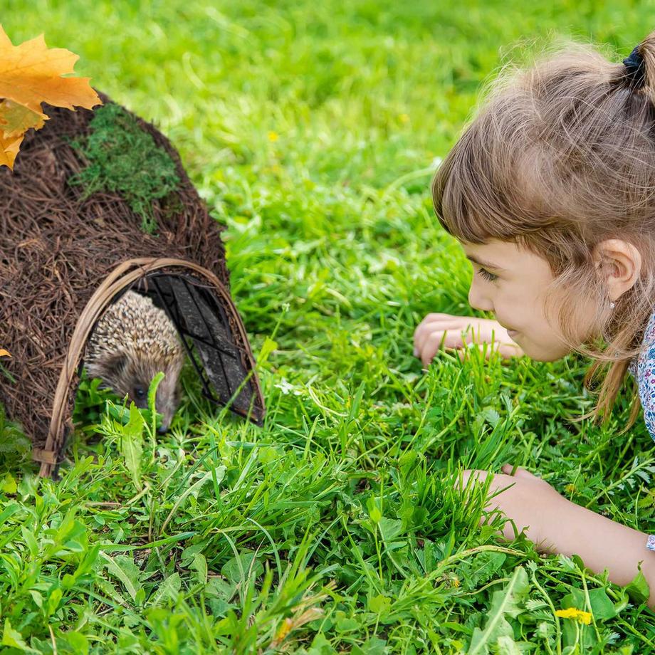 B2X  Grande maison pour hérisson en paille 