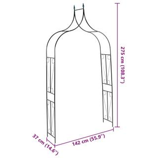 VidaXL  Voûte de jardin fer 