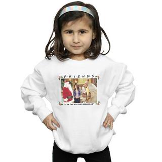 Friends  I Am The Holiday Armadillo Sweatshirt 