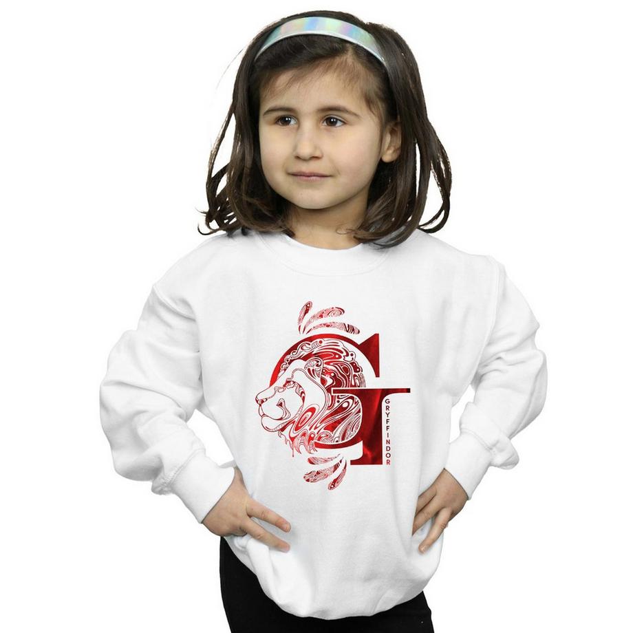 Harry Potter  Gryffindor Sweatshirt 