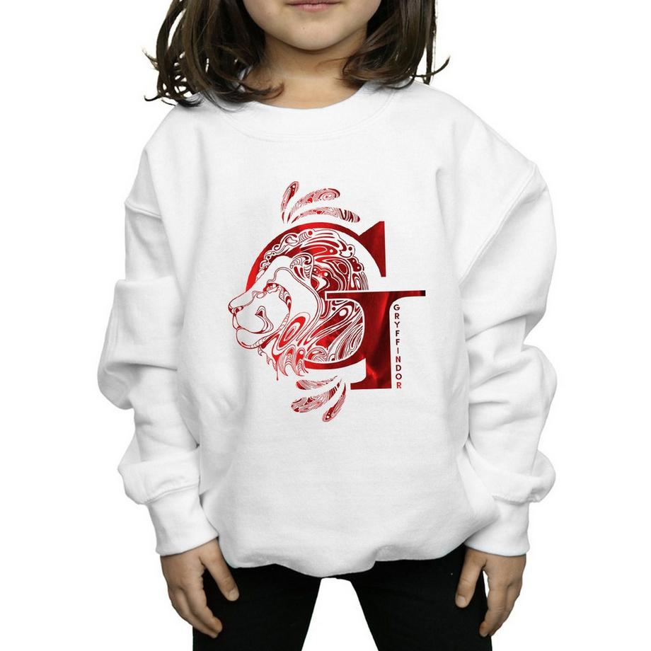 Harry Potter  Gryffindor Sweatshirt 