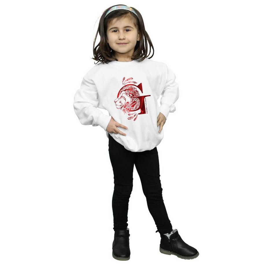 Harry Potter  Gryffindor Sweatshirt 