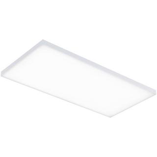 Paulmann Panneau LED WallCeiling Velora 595x295mm 29W mat 230V métal  