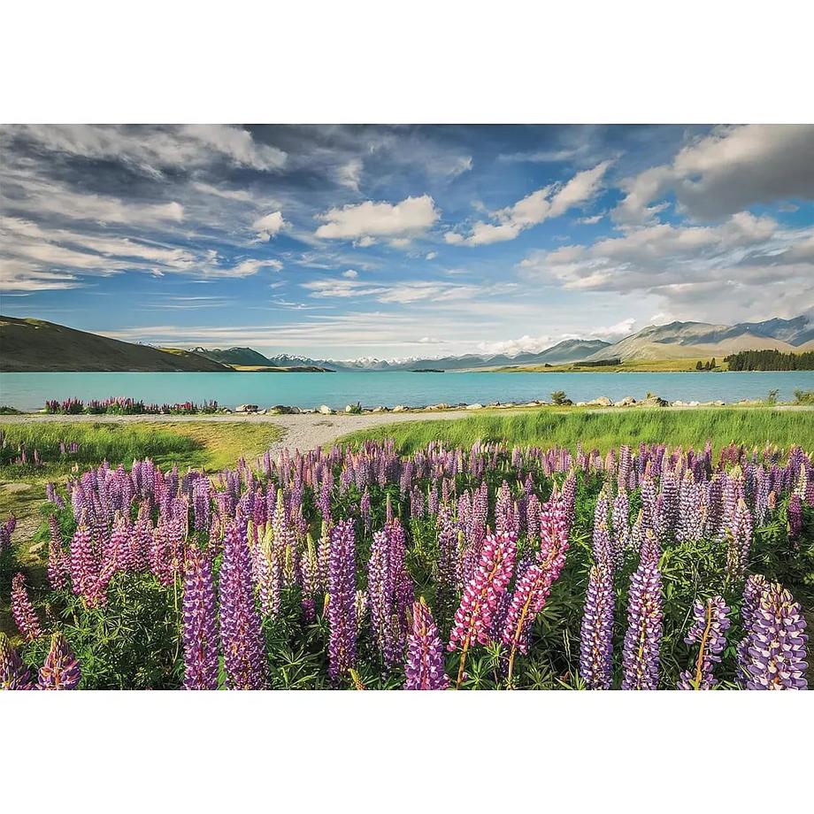 Clementoni  Puzzle Lupine am Lake Tekapo (1500Teile) 