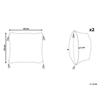 Beliani Kissen 2er Set aus Polyester Modern LIRIOPE  