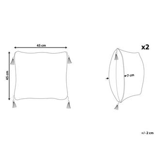 Beliani Kissen 2er Set aus Polyester Modern LIRIOPE  