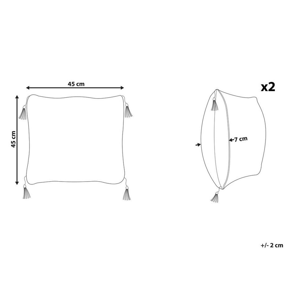 Beliani Dekokissen 2er Set aus Polyester Modern LIRIOPE  
