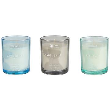 Set di 3 Candele Profumate en Cera di Soia SHEER JOY