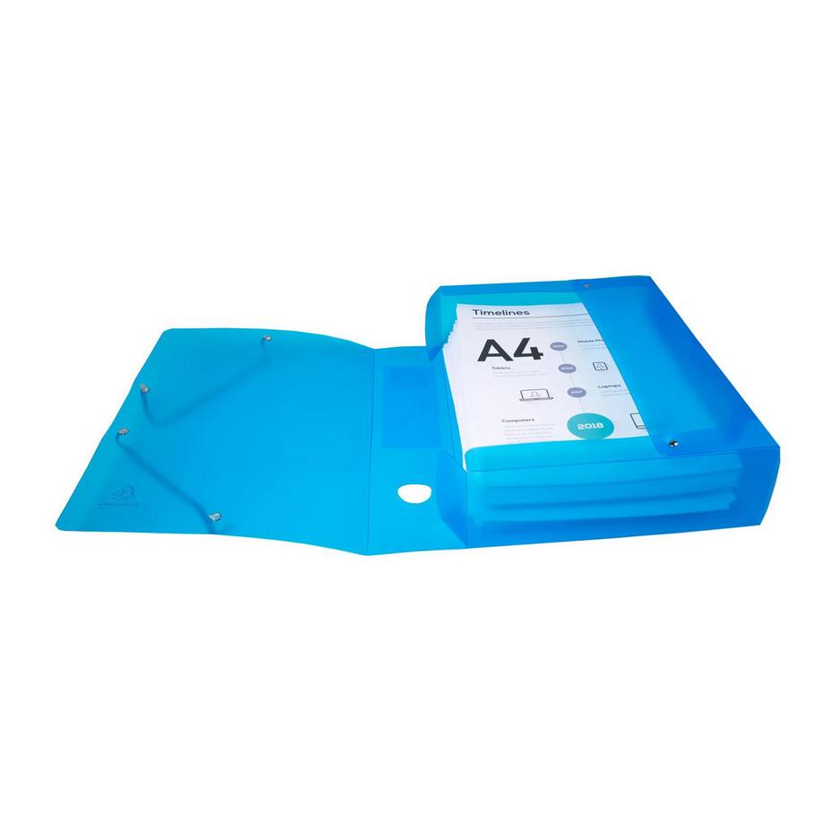 Exacompta Archivbox aus PP 700µ, Rücken 25mm, 25x33cm für DIN A4 - Iderama - x 6  
