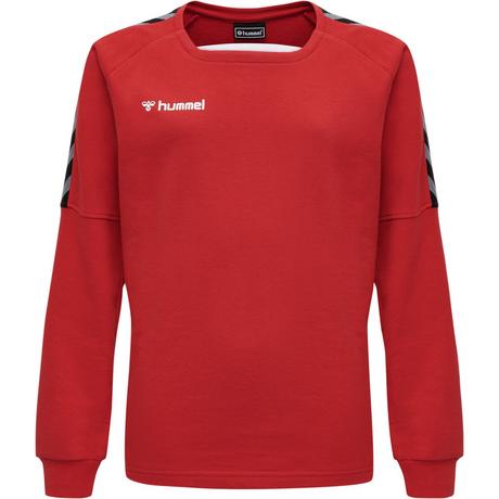 Hummel  felpa per bambini hmlauthentic training 