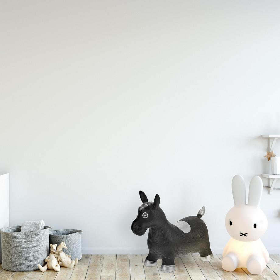 B2X  Cheval gonflable noir 