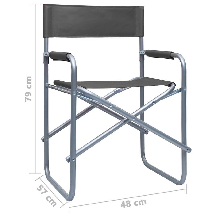 VidaXL Chaise de metteur en scène métal  