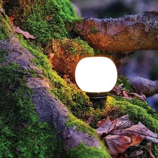 Flextail  MUSHROOM Mini‑Abschirm für Tiny Pump 2X 